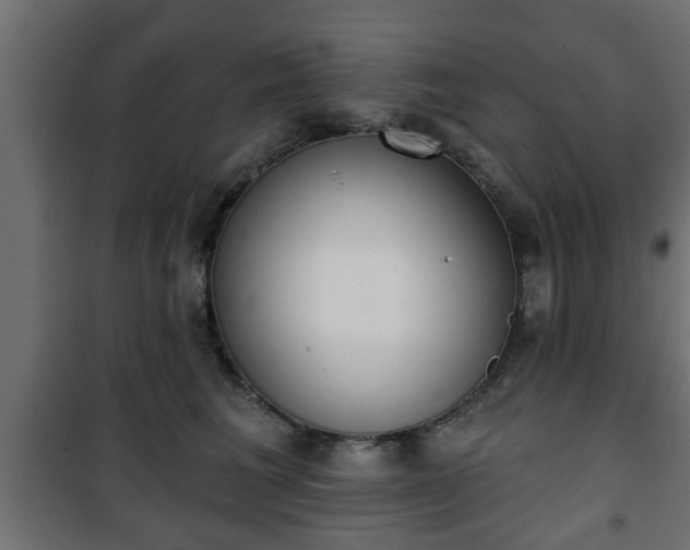 X0000101200613200807071316