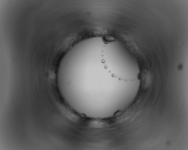 X0000101200614200807071316