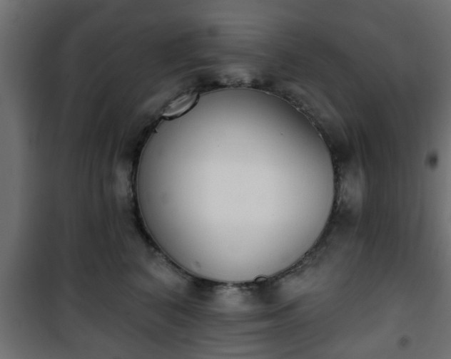 X0000101200616200807071316