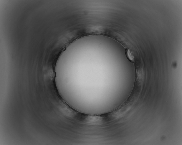 X0000101200617200807071316