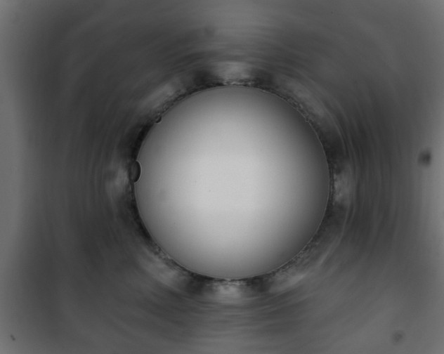 X0000101200618200807071316