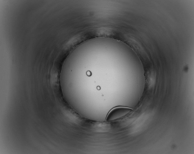 X0000101200619200807071316