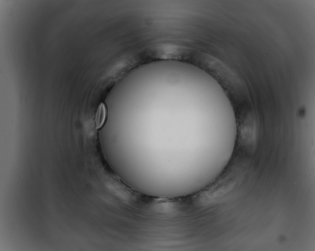 X0000101200620200807071316