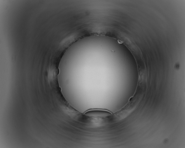 X0000101200623200807071316