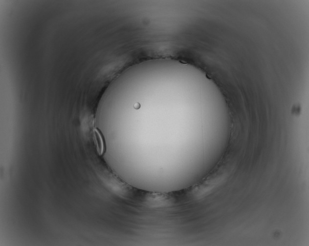 X0000101200624200807071316