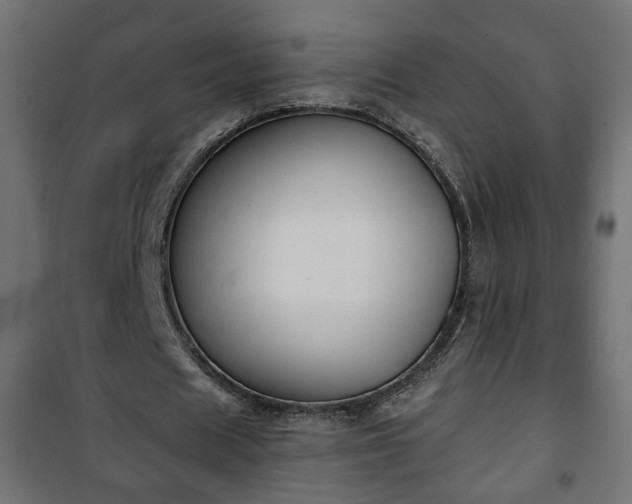 X0000101200625200807071315