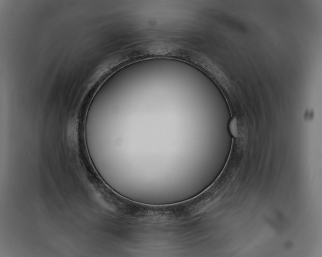 X0000101200626200807071315