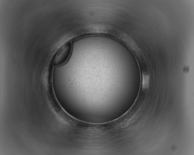 X0000101200627200807071315