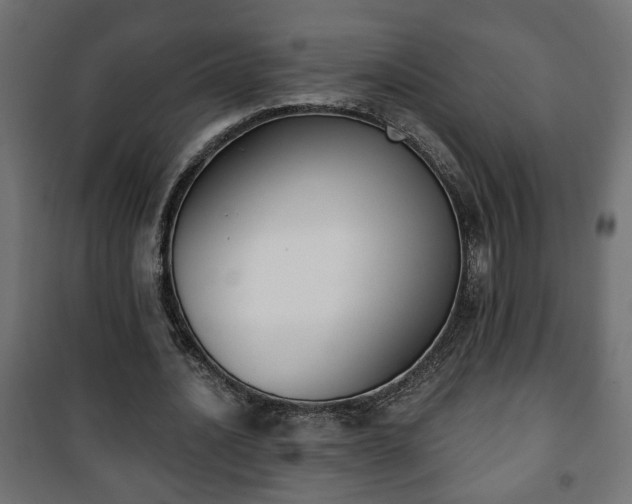X0000101200628200807071315