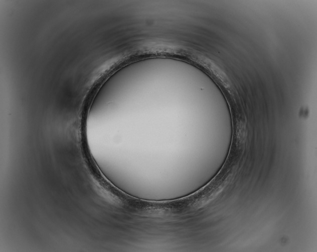 X0000101200629200807071315