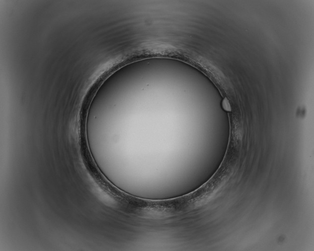 X0000101200630200807071315