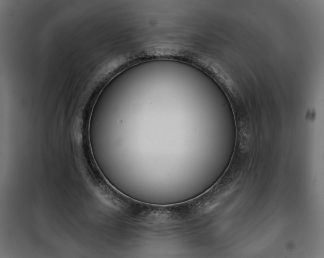 X0000101200631200807071315