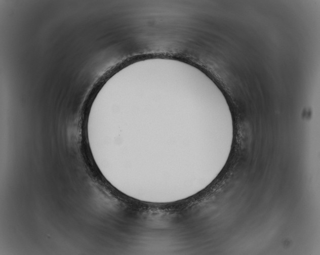 X0000101200632200807071315