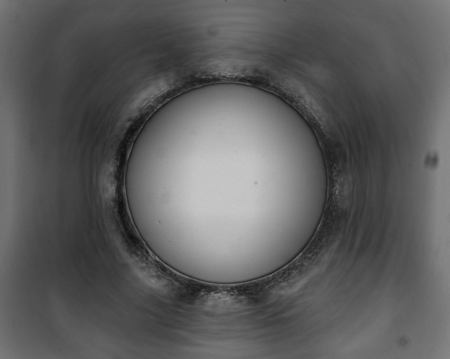 X0000101200635200807071315