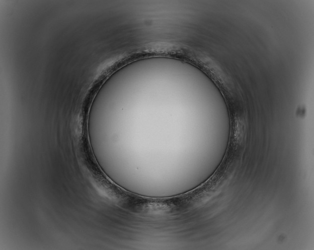 X0000101200636200807071315