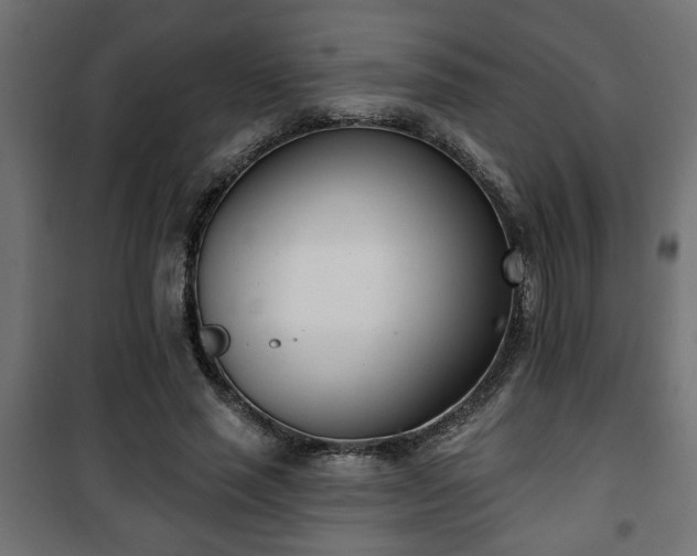X0000101200637200807071315