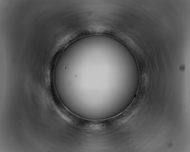 X0000101200638200807071315