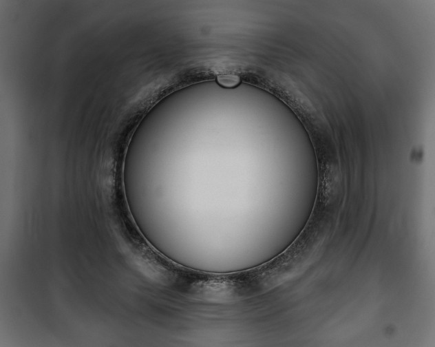 X0000101200639200807071315