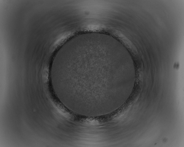 X0000101200640200807071315
