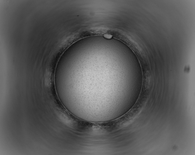 X0000101200641200807071315