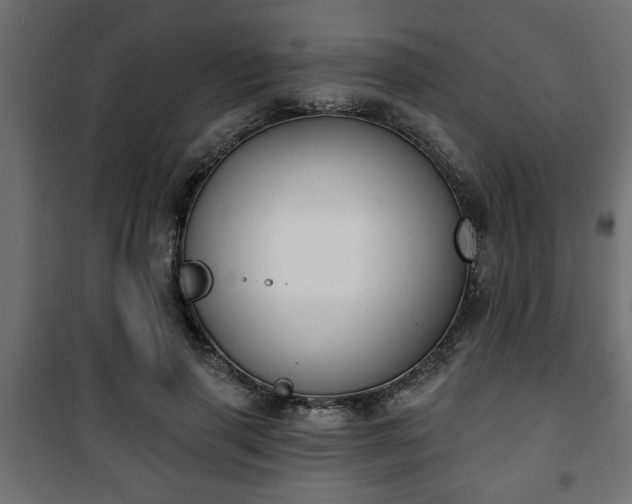 X0000101200645200807071315