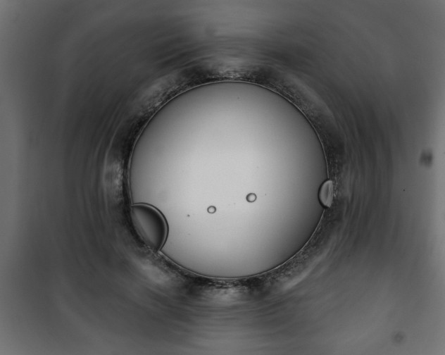 X0000101200646200807071315