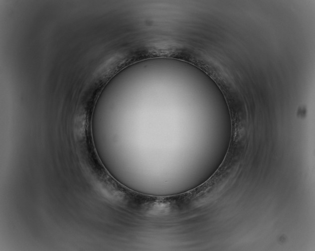 X0000101200647200807071315