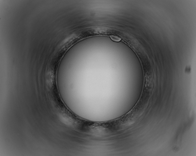 X0000101200648200807071315