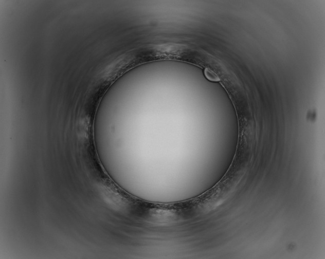 X0000101200649200807071315