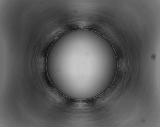 X0000101200650200807071315