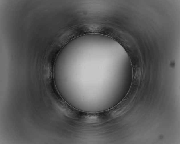 X0000101200651200807071315