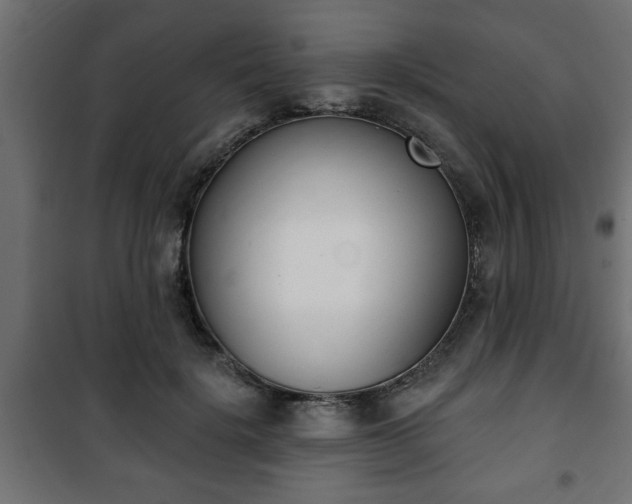 X0000101200652200807071315