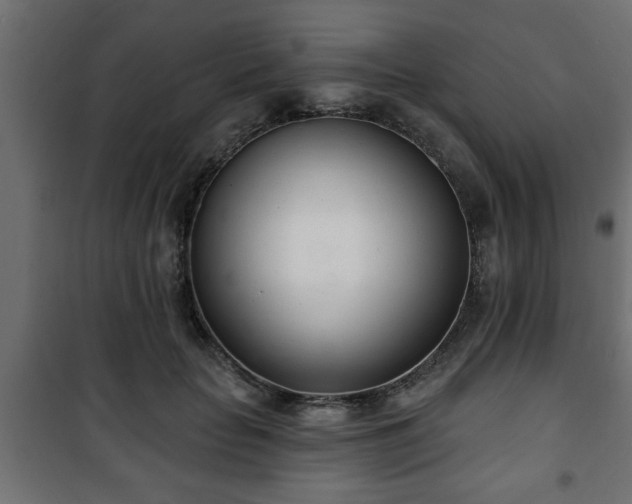 X0000101200653200807071315