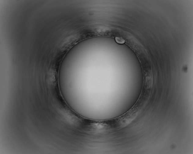X0000101200654200807071315