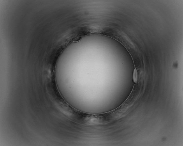X0000101200655200807071315