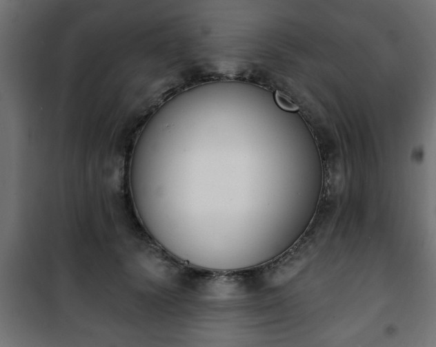 X0000101200656200807071315
