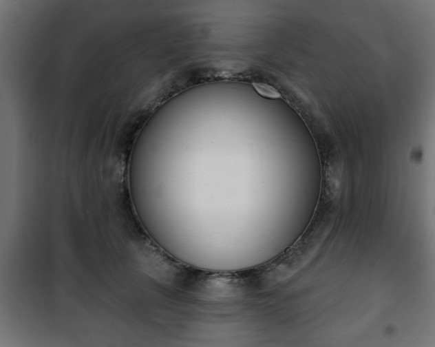 X0000101200657200807071315