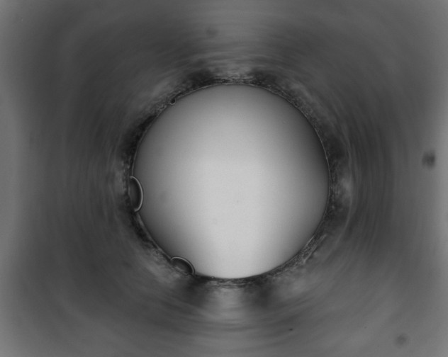 X0000101200658200807071315