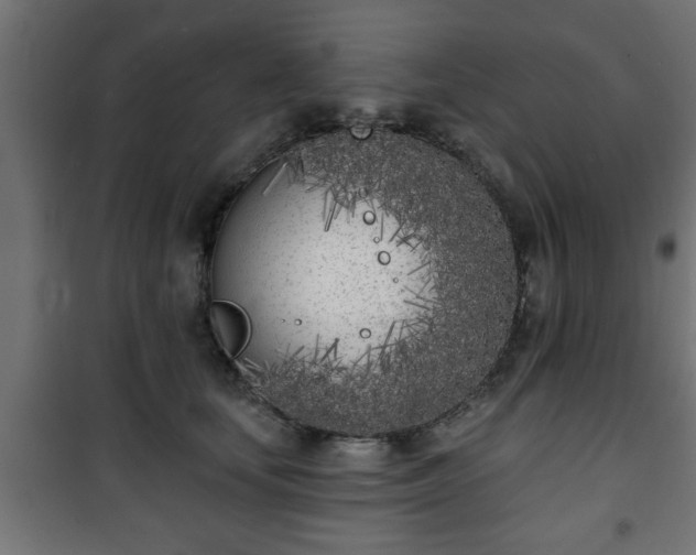 X0000101200659200807071315
