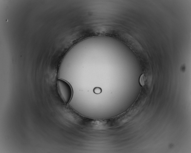 X0000101200660200807071315