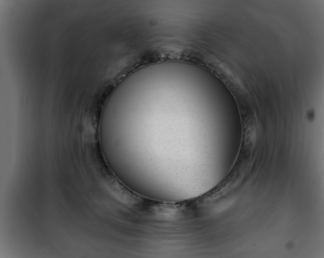 X0000101200661200807071315