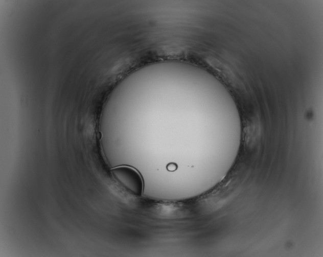 X0000101200662200807071315