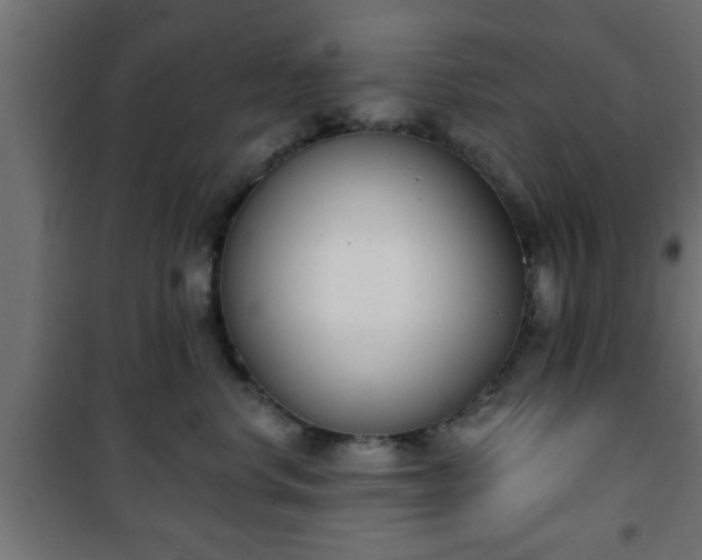 X0000101200668200807071315
