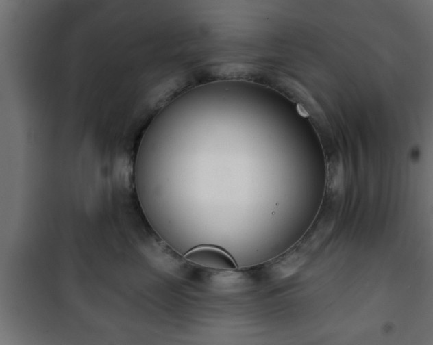 X0000101200669200807071315