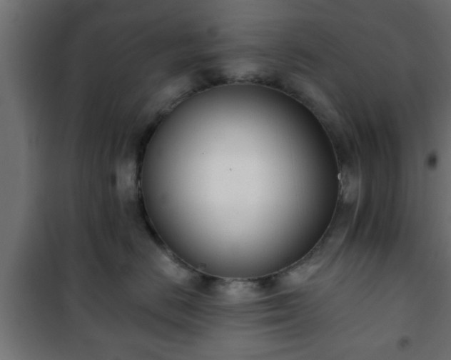X0000101200670200807071315