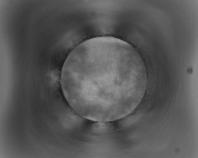 X0000101200672200807071316