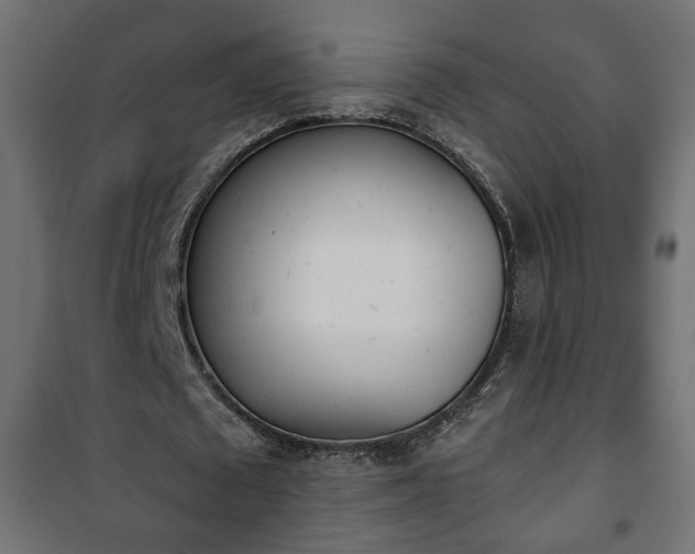 X0000101200673200807071315