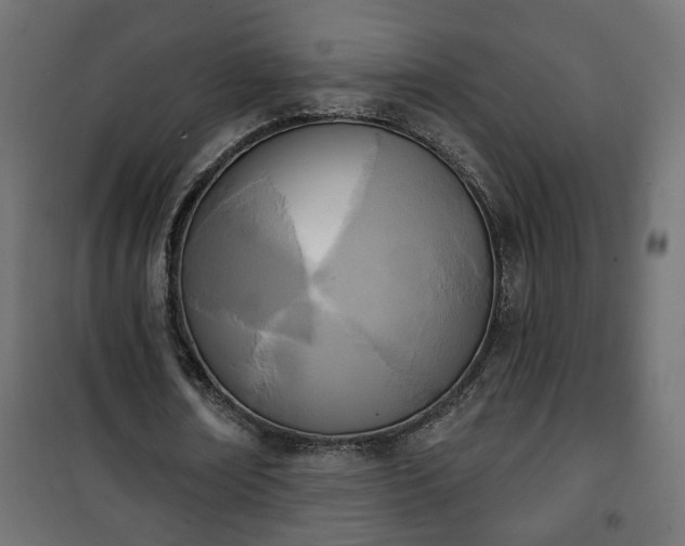 X0000101200674200807071315