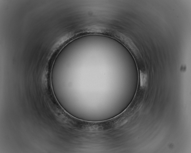 X0000101200675200807071315