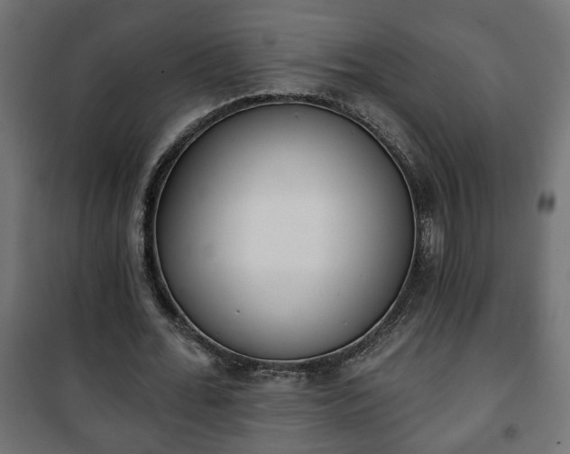 X0000101200676200807071315